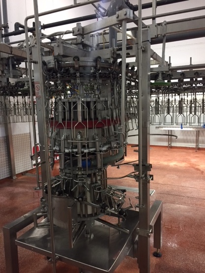 500-3000 bph Tielemans 8" evisceration line